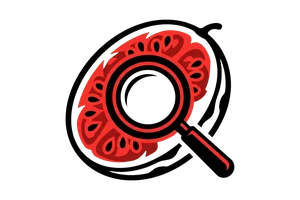 豆花视频-高清视频|视频资源 - 吃瓜社Logo